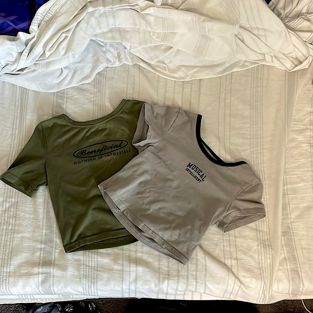 Two crop shirts(small)green and grey